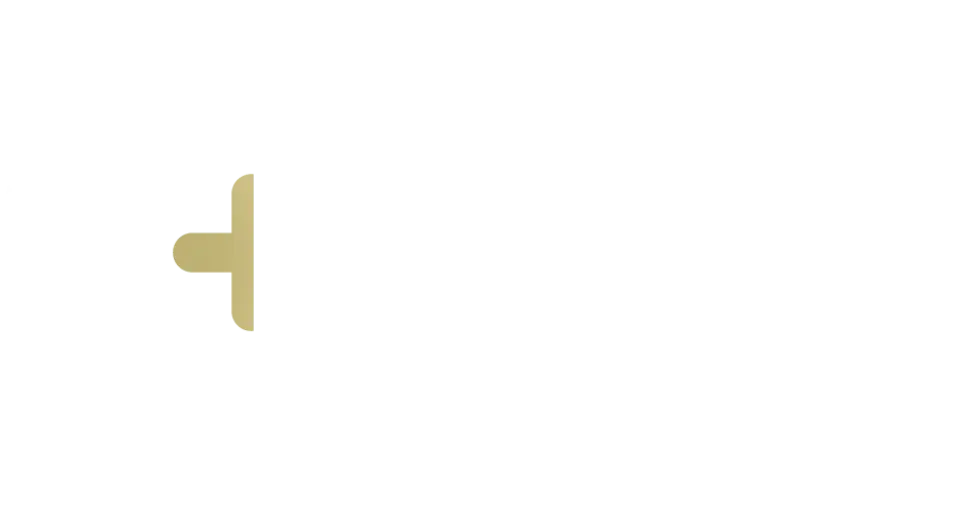 The Network Circle Logo