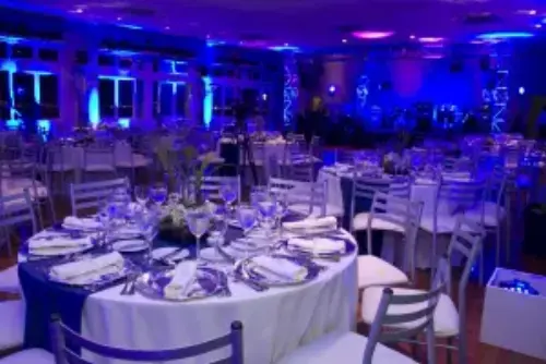 This picture shows the room of a gala-events before the entry of the participants. Special attention is being paid to the decoration as well as the ambiance lighting.